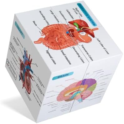 kaitnax insan Anatomik Poster Seti Anatomi Çalışma Küpü Tıp Öğrencisi Öğrenme Aracı Anatomi Grafik Seti, 9 Parça Anatomi