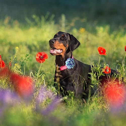 Hillban 100 Parça Köpek Yaka Çiçekler Charms Pet Çiçek Yaka Yay Bağları Çiçek Köpek Aksesuarları Slaytlar Eki için
