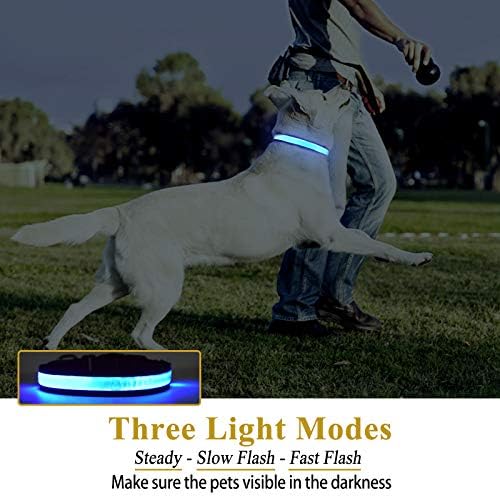 PİCURA LED köpek Tasması, USB Şarj Edilebilir Evcil Hayvan Tasması Sabit Yanıp Sönen/çakarlı lamba ile Ayarlanabilir,