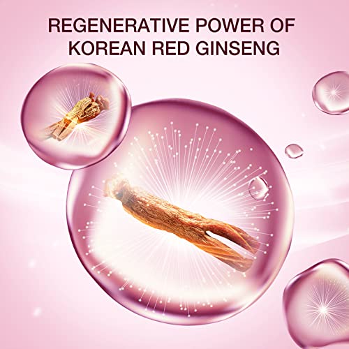 DONGİNBİ Günlük Savunma Krem, Anti-aging, Anti-Kırışıklık ve Antioksidan Yüz Kremi, Kore Kırmızı Ginseng Cilt Bakımı-25